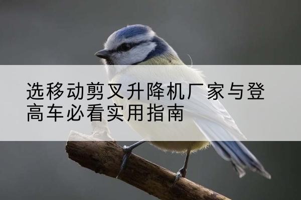 铜陵电动升降机厂家-选移动剪叉升降机厂家与登高车必看实用指南
