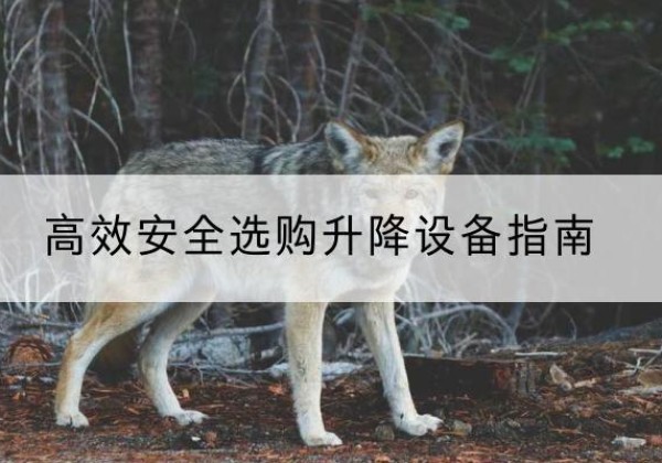 铜陵升降货梯厂家推荐-*安全选购升降设备指南